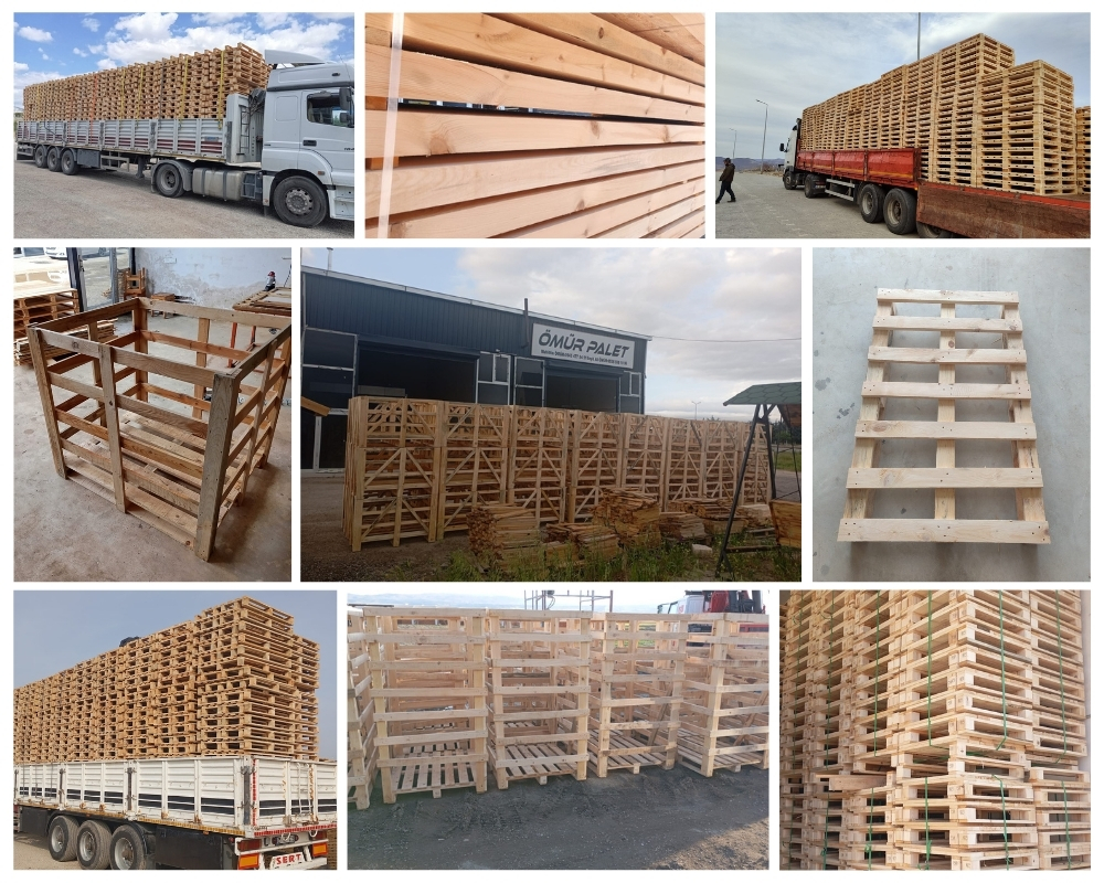 Trappes Palette Europe, Acheter des palettes en gros